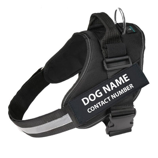 Personalized Dog Harness
